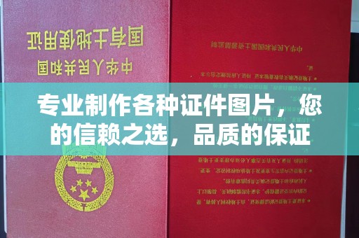 海沧专业制作各种证件图片，您的信赖之选，品质的保证