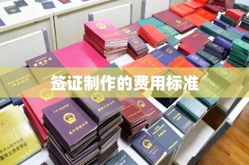 海沧签证制作的费用标准